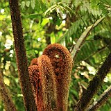 Costa Rica20150406-1748-1145